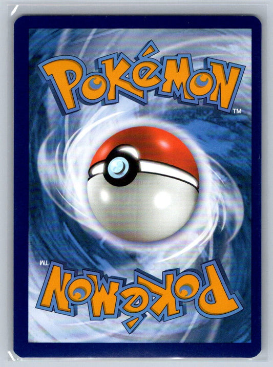 Charizard Holo Holo Rare 010/078 Pokemon GO NM