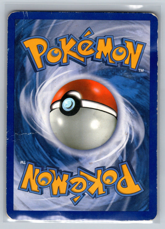 Raikou - 16/132 (Cracked Ice Holo) Holo Promo 016/132 Miscellaneous Cards & Prod