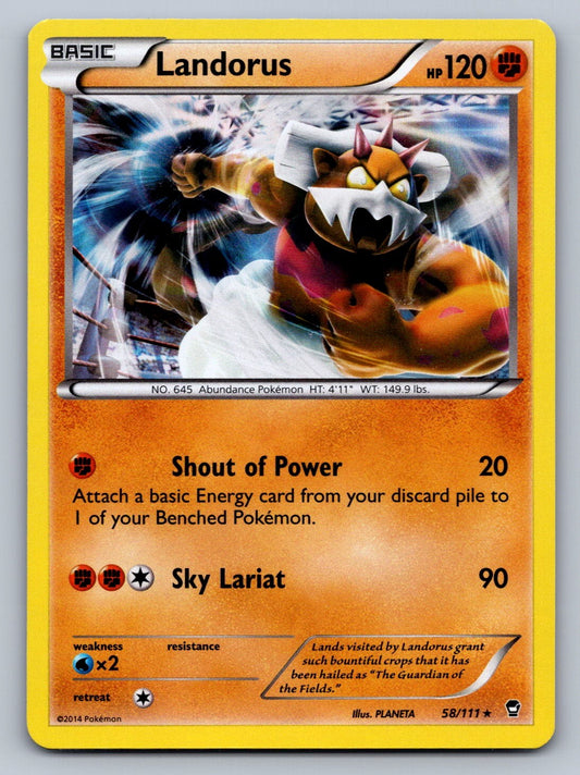 Landorus 58/111 Fighting XY - Furious Fists NM