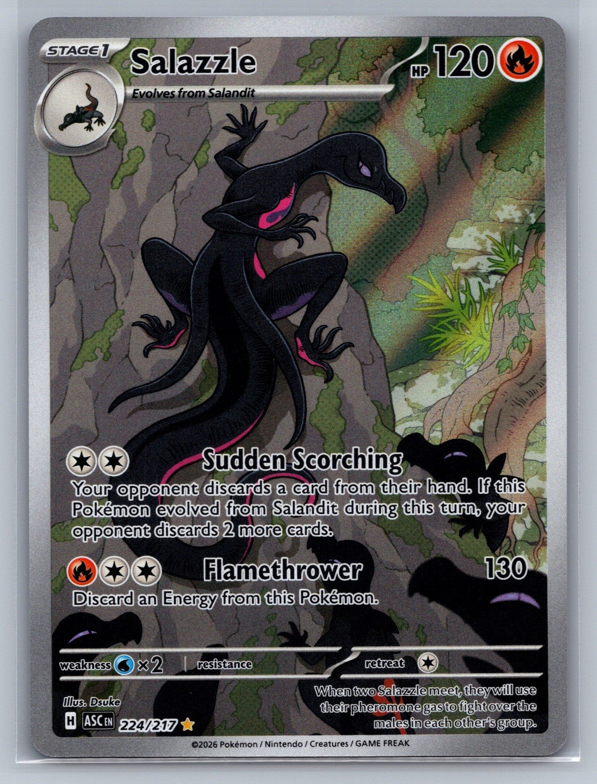 Salazzle Holo Illustration Rare 224/217 ME: Ascended Heroes NM