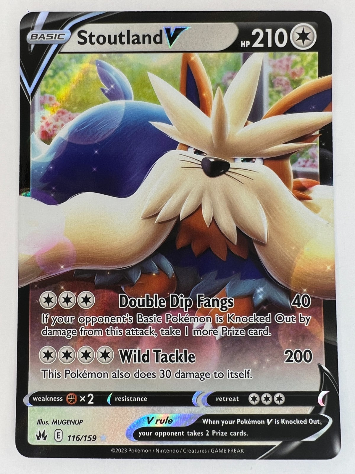Pokemon Cards Stoutland V - 116/159 - Crown Zenith Sword & Shield Ultra Rare NM
