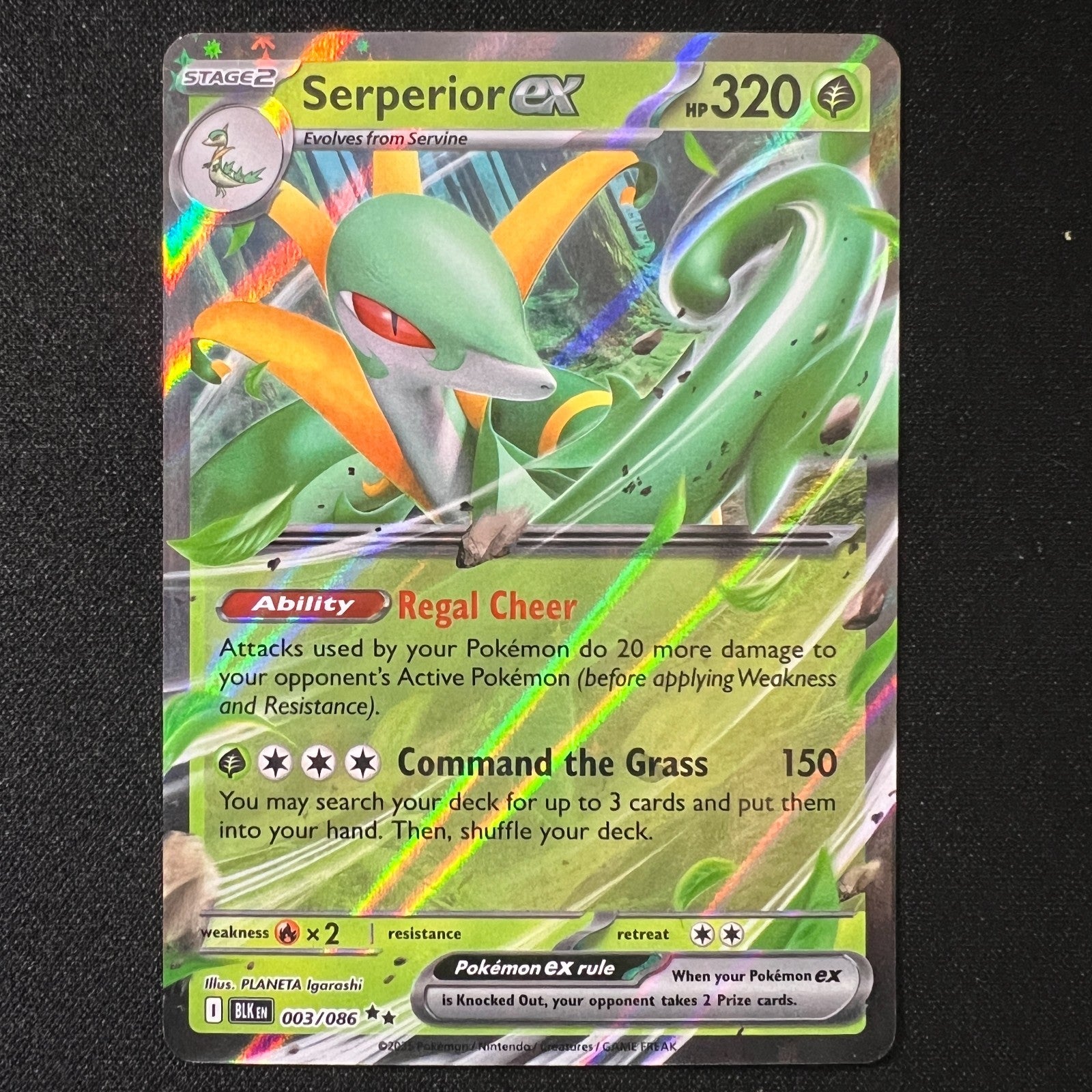 Serperior ex 3/86 – Black Bolt Ultra Rare Holo Pokemon Cards TCG LP/NM