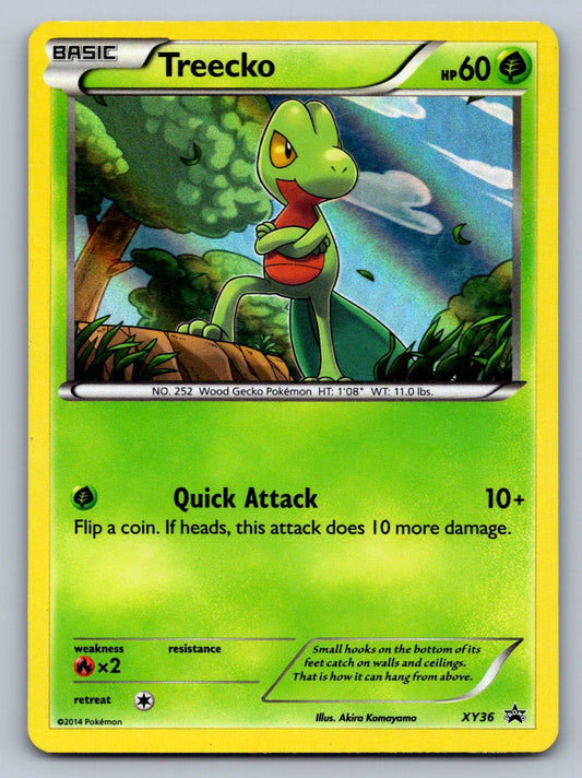 Treecko - XY36 Grass Holo XY Promos NM