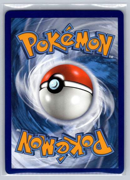 Eevee VMAX Holo Promo SWSH087 SWSH: Sword & Shield Promo Cards NM