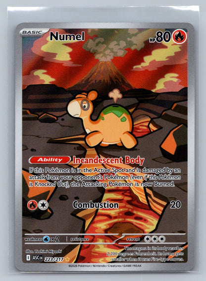 Numel Holo Illustration Rare 223/217 ME: Ascended Heroes NM