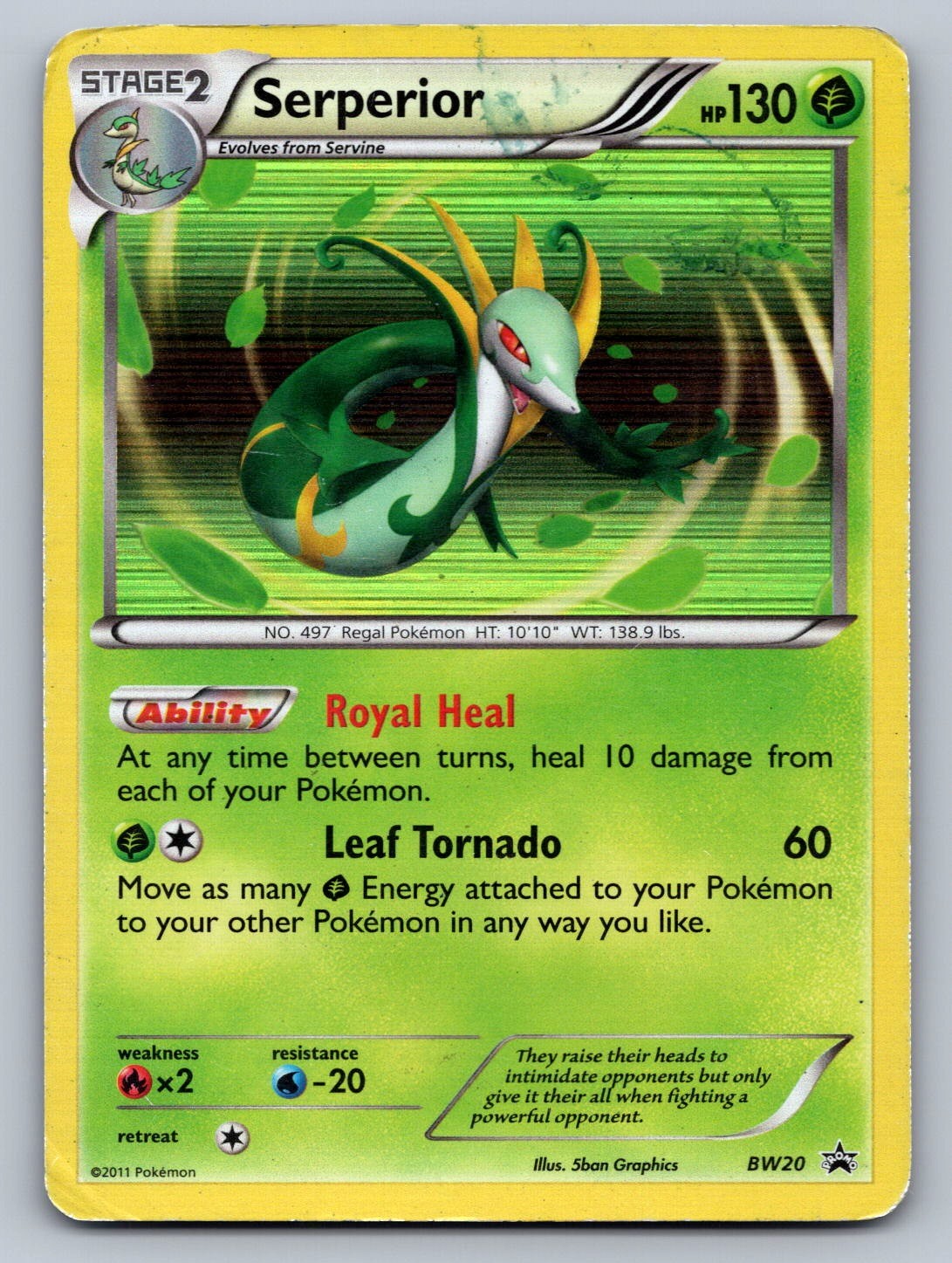 Serperior - BW20 Grass Holo Black and White Promos LP