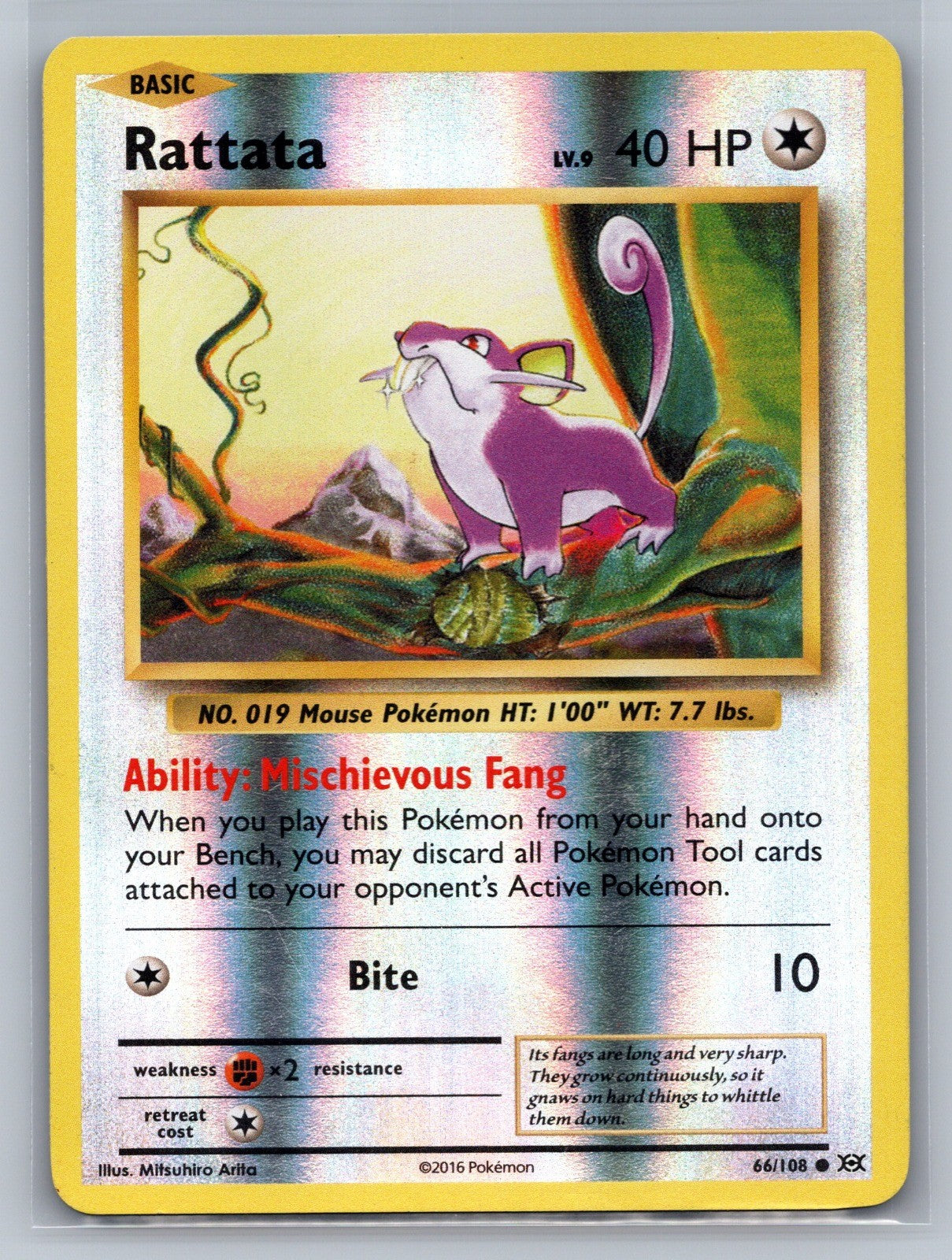 Rattata Reverse Holo Common 66/108 XY - Evolutions LP