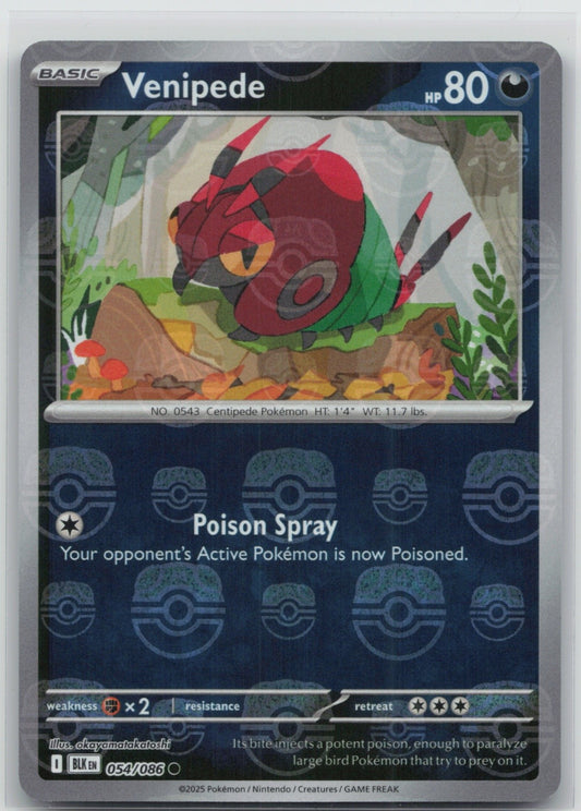 Venipede (Master Ball Pattern) Holo Common 054/086 SV: Black Bolt NM