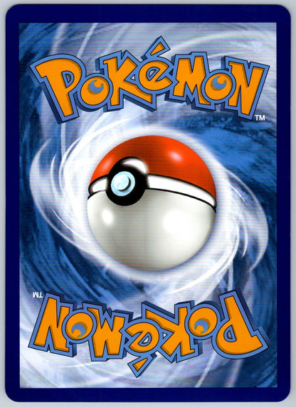 Pikachu & Zekrom GX - Holo Promo SM248 Jumbo Cards NM