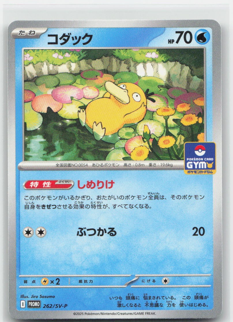Psyduck [Gym] #262/SV-P Pokemon Japanese Promo