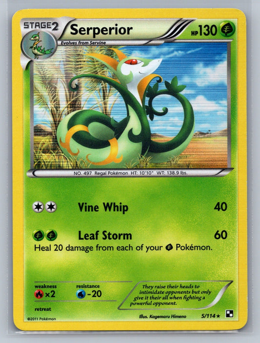 Serperior (5) Holo Rare 5/114 Black and White (Clean Front) MP